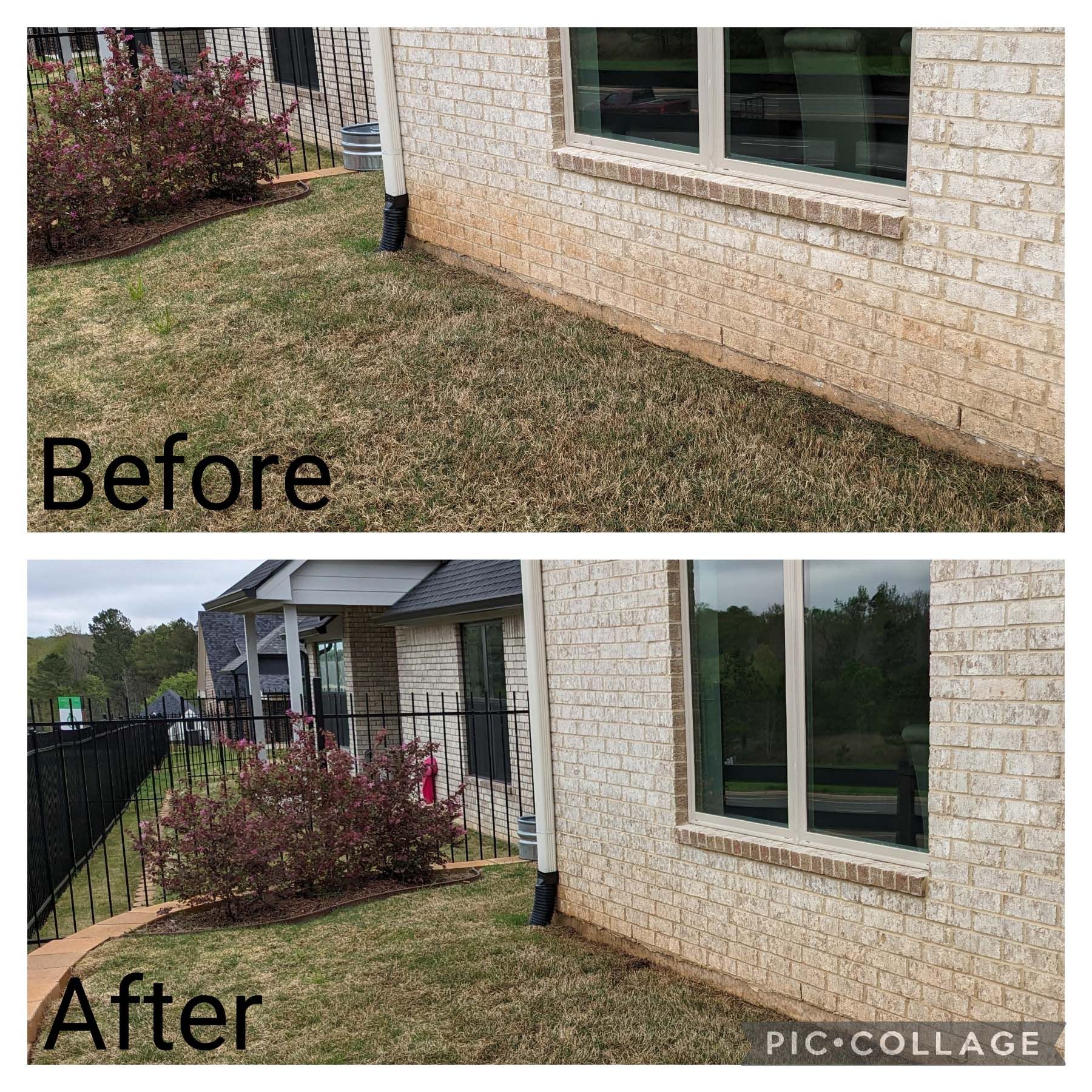 Before-and-after view of a house exterior with trimmed bushes and a cleaner lawn by the brick wall.