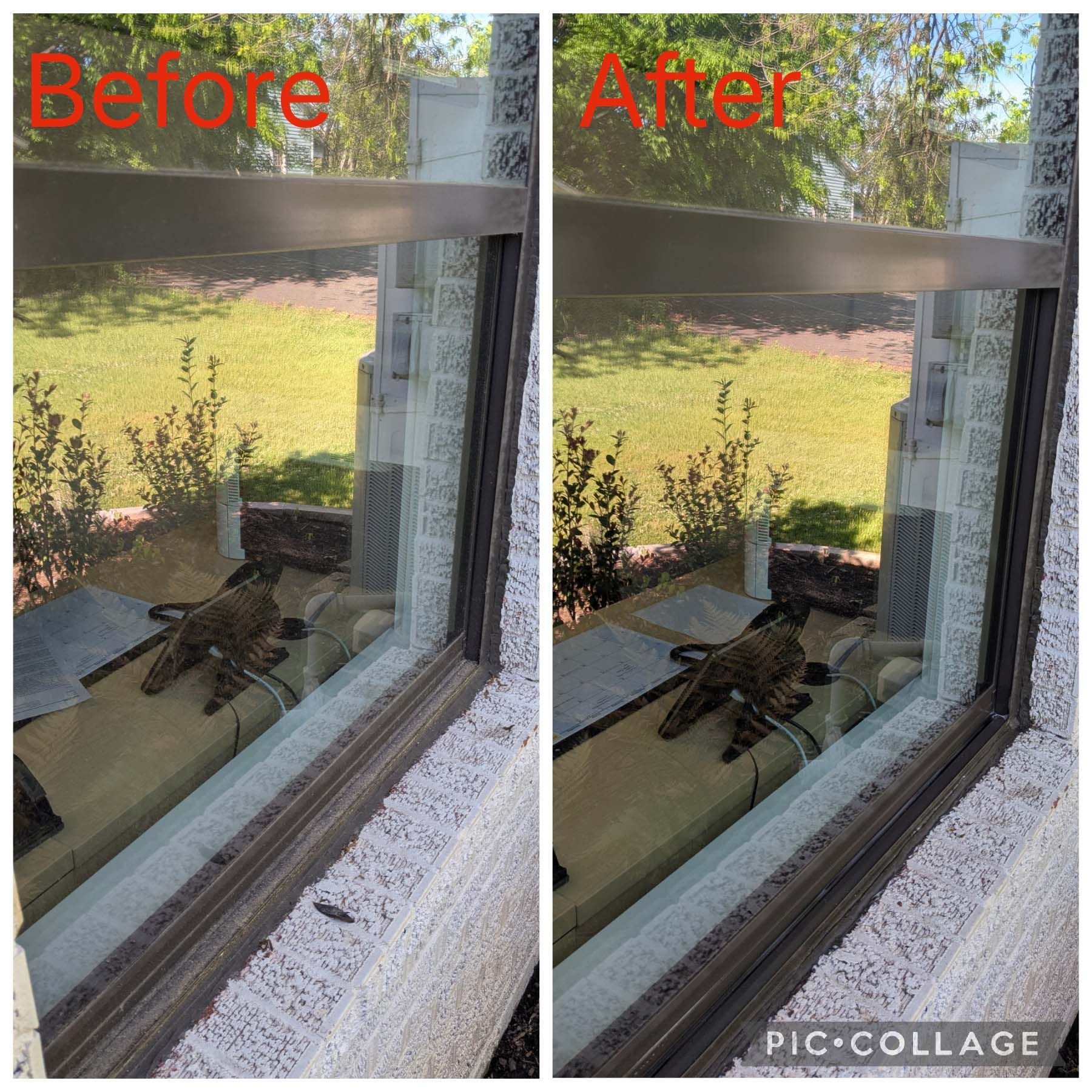 Before-and-after view of a window with a cat lying inside, showing improved clarity on the right.