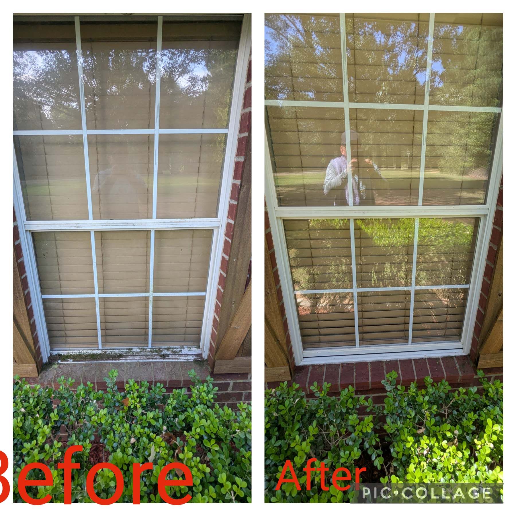 Before-and-after of a window cleaned and cleared, showing a bird outside in the after view.