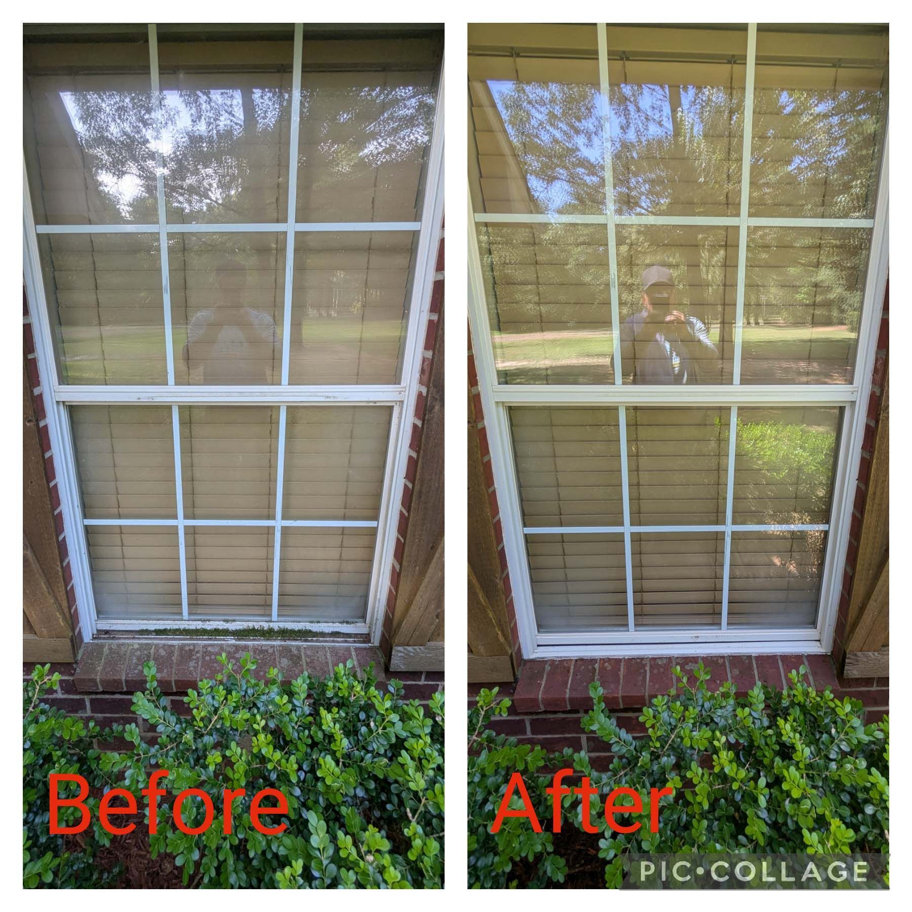 Split-window before-and-after: dirty blinds cleaned, with reflections of trees and a person.