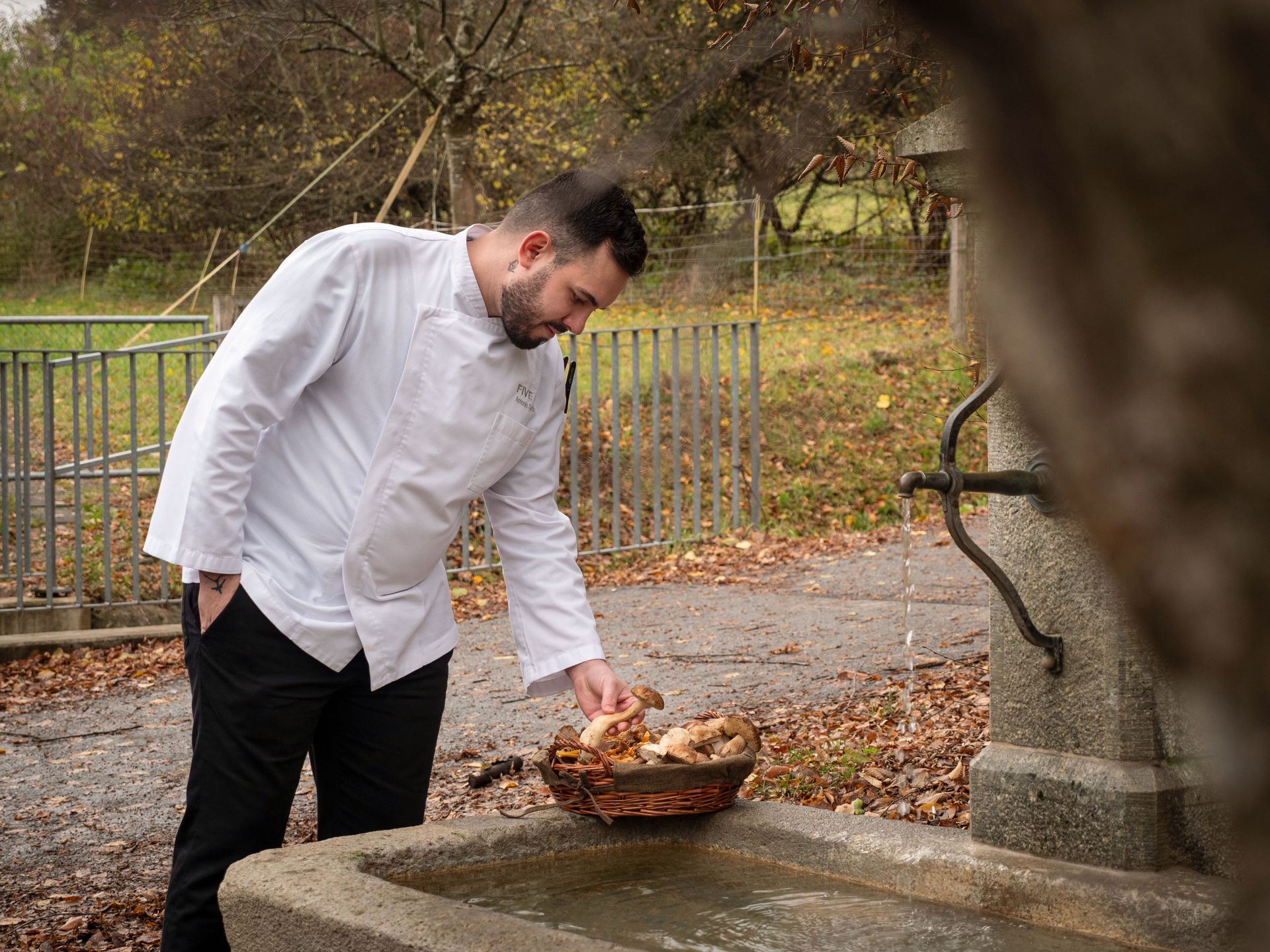 Private Chef Antonio Satta. Picking up fresh mushrooms 
