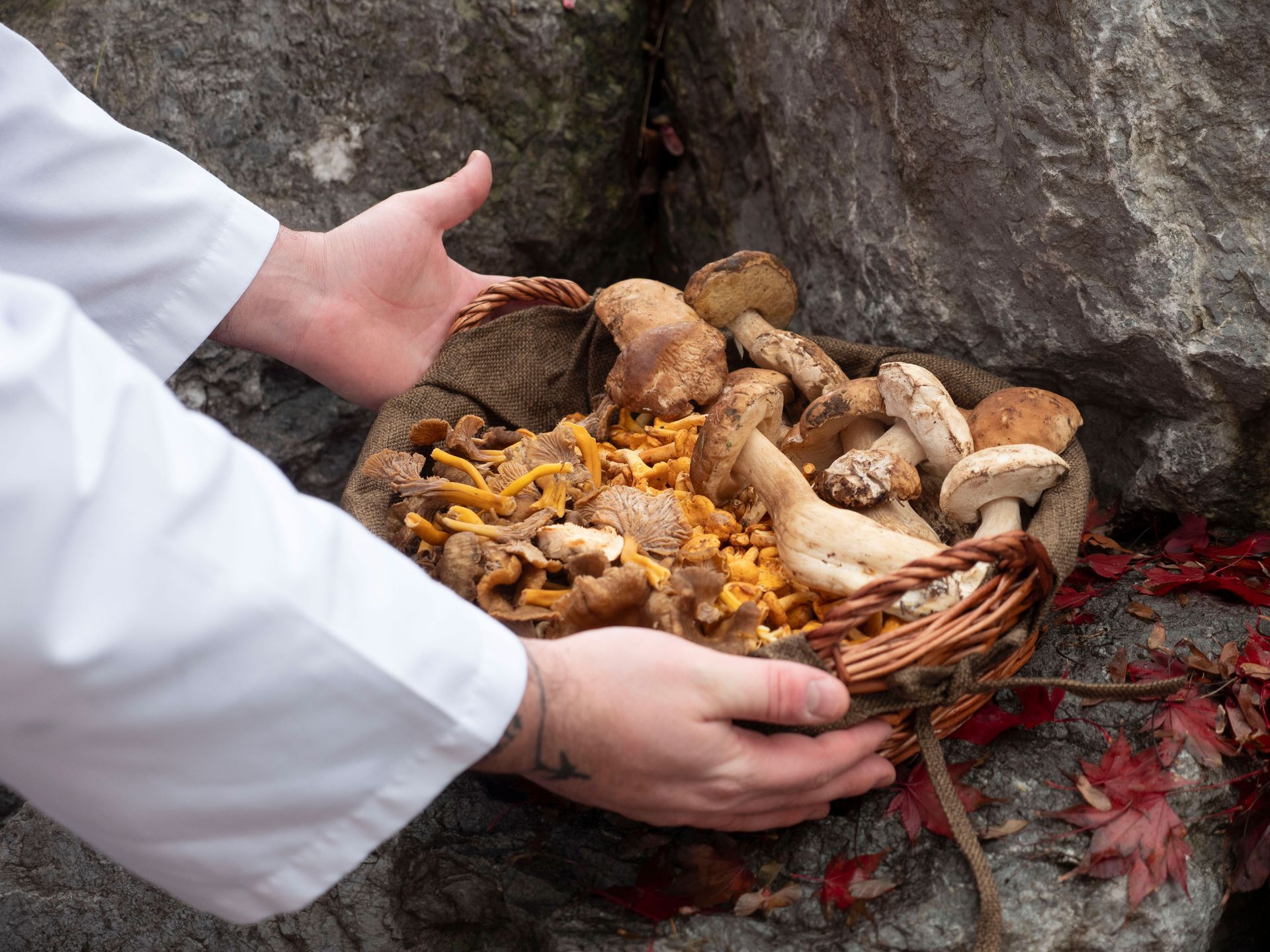 Chef Antonio Satta selecting fresh mushrooms for a private culinary experience
