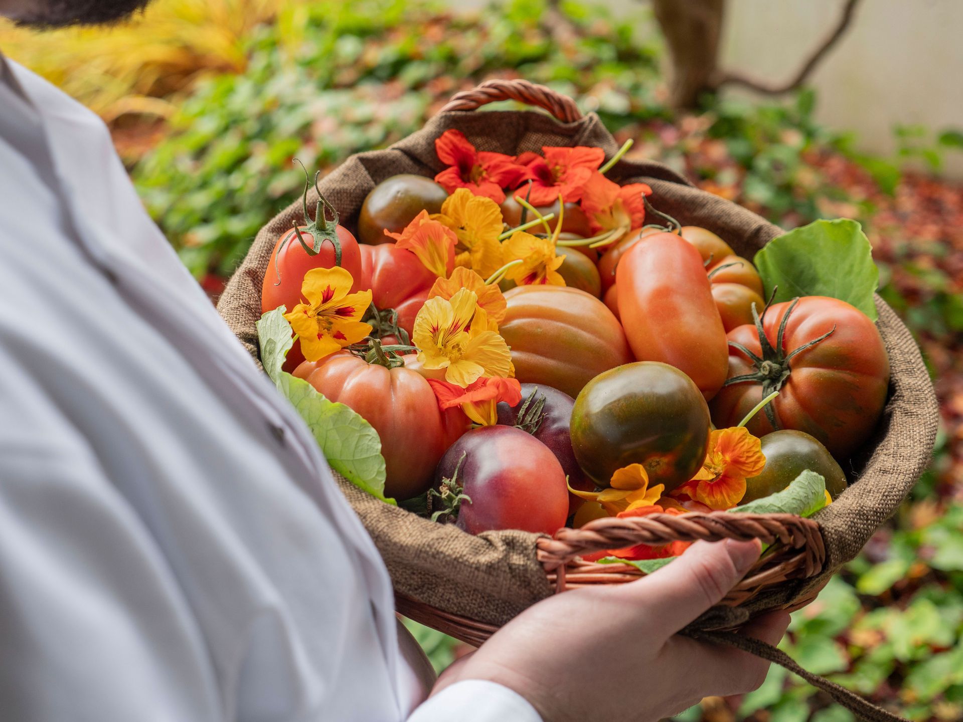Private chef Antonio Satta creating refined dishes for a home dining experience
