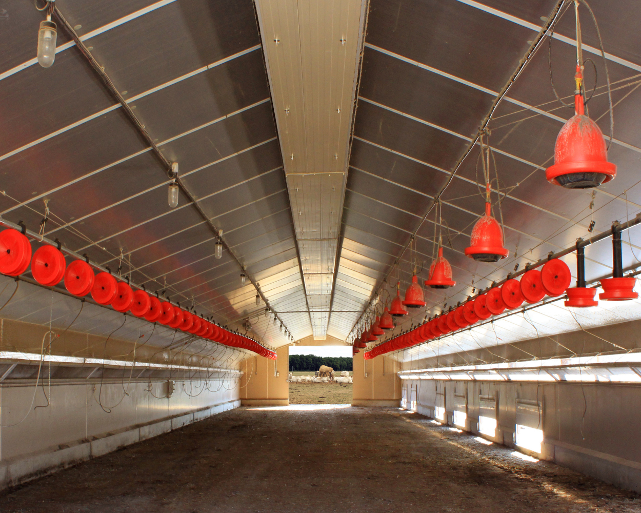 best laser grading services for farms near red deer