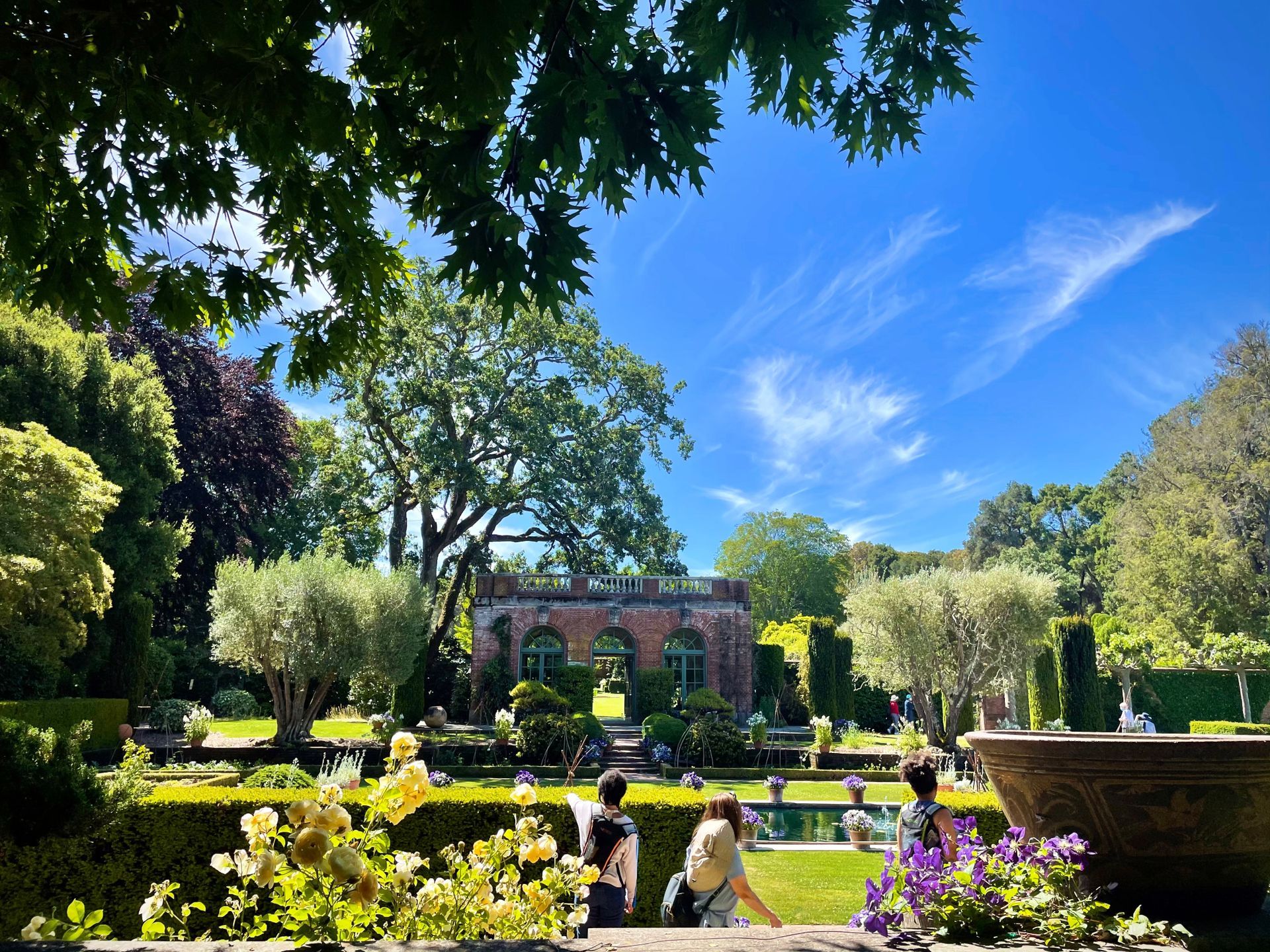 A group of people are standing in a garden on a sunny day.