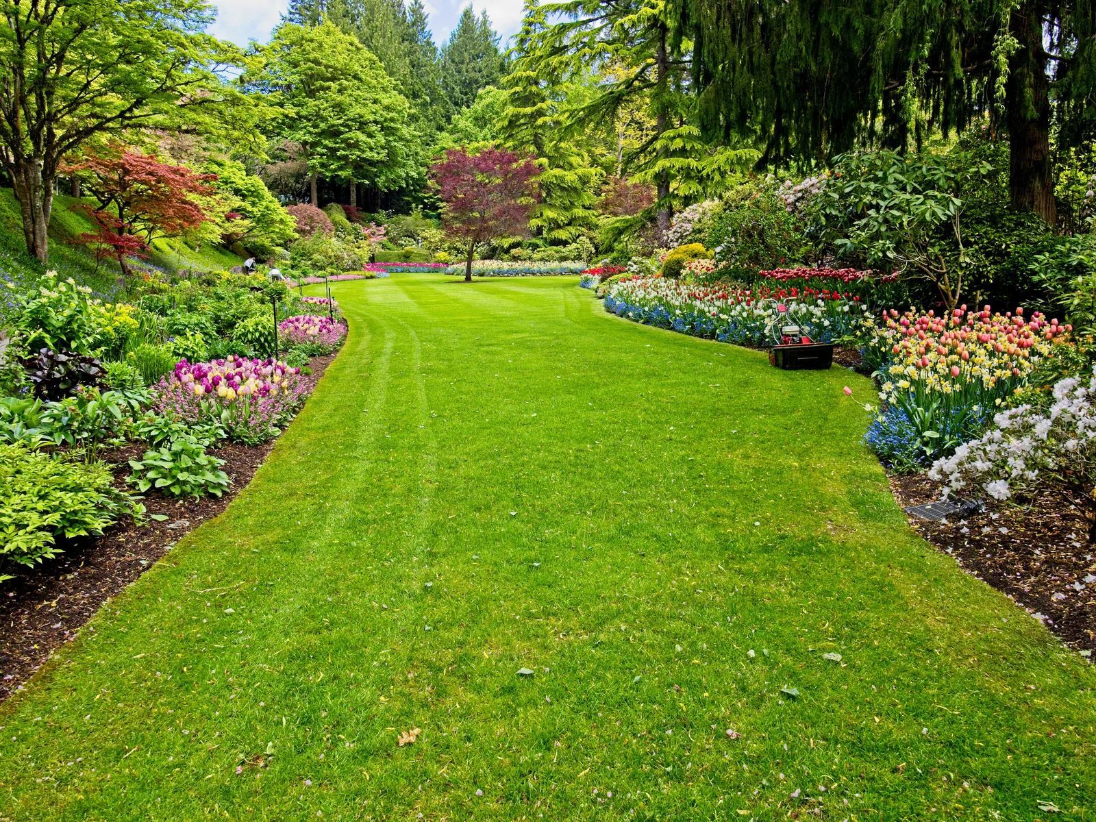 Bright green garden path bordered by colorful flower beds and tall trees