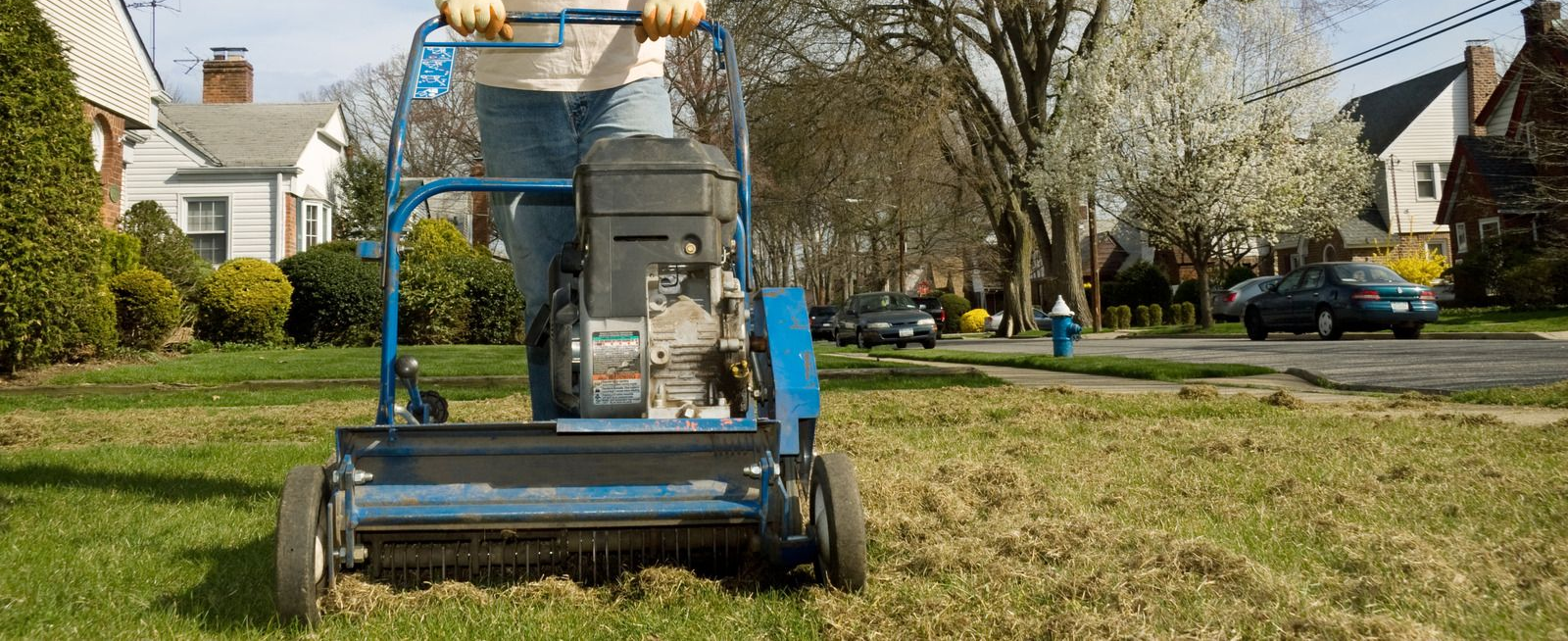 Blue lawn mower on grass in a sunny suburban yard with houses and trees in the background