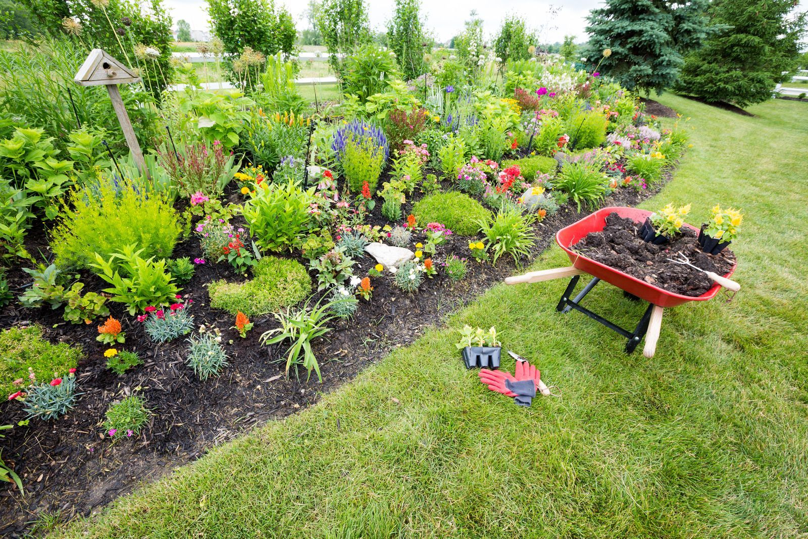 Colorful flower garden bed with lush plants, a birdhouse, and a raised planter on a grassy lawn