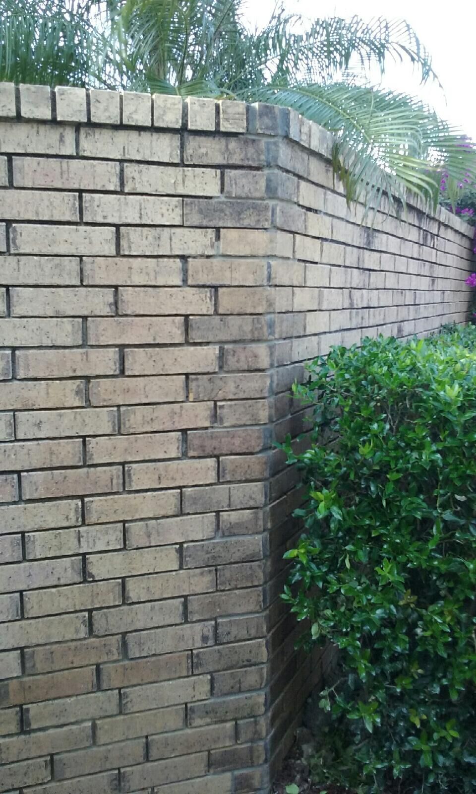 Wall Repair after