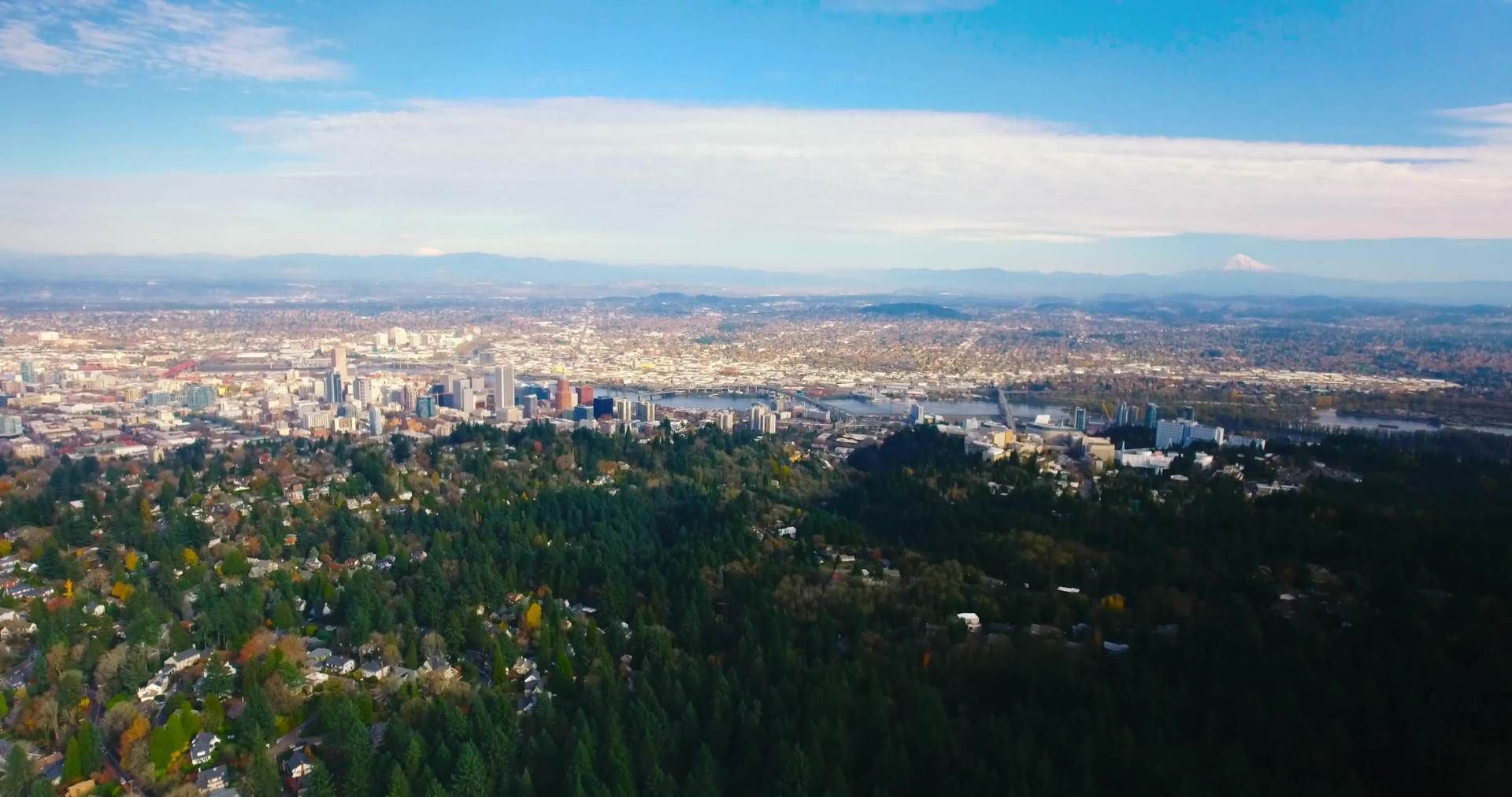 Portland's Diverse Sides: Explore The Cities History