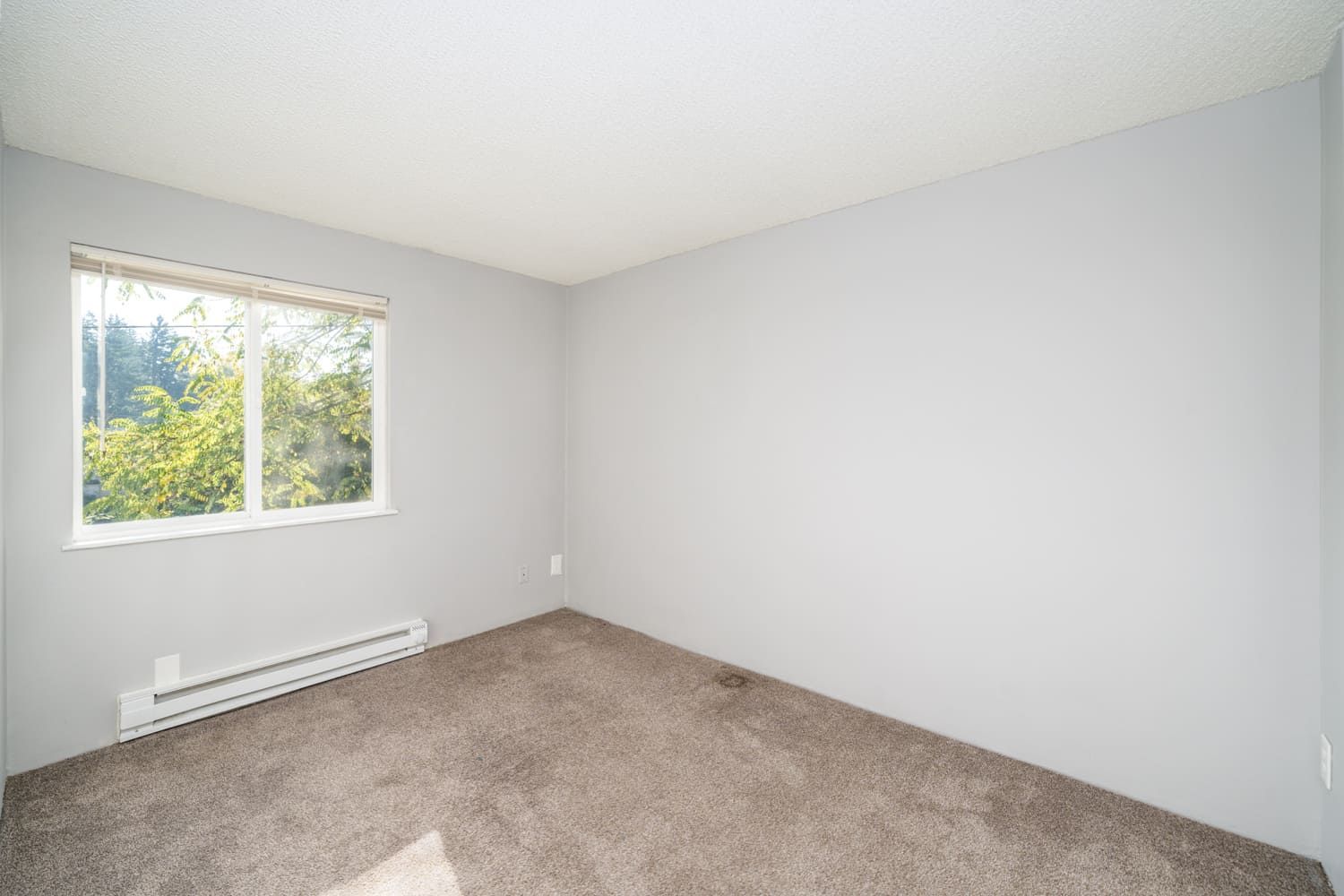 A photo of the apartments at Timber Terrace