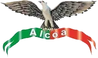Alcoa Concrete & Masonry Inc.