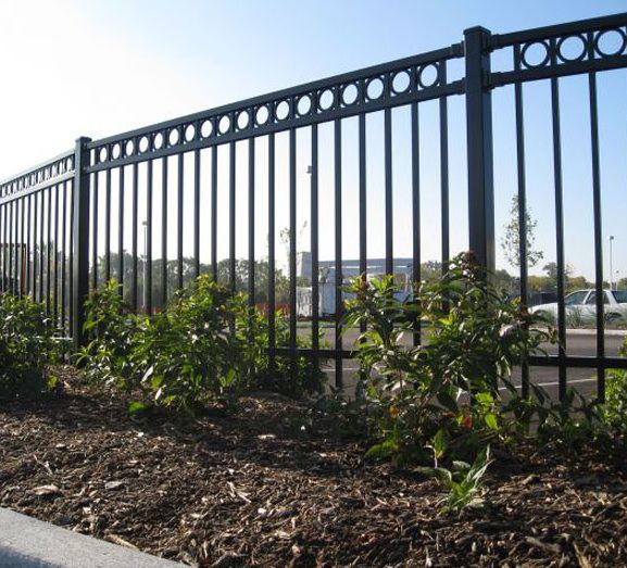 Valla de metal negro detrás de arbustos jóvenes en una zona ajardinada soleada.