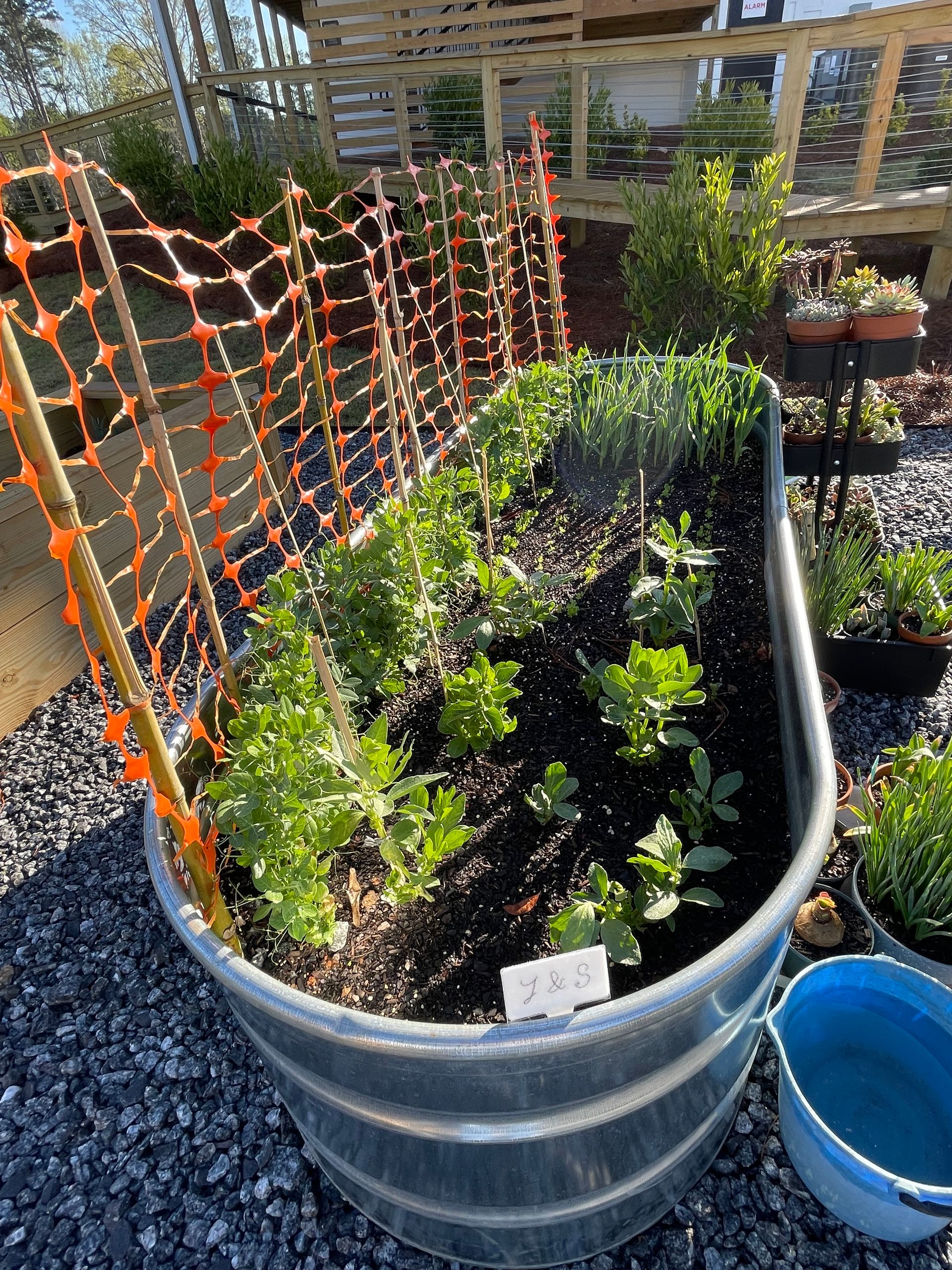 Horizon at Tallassee Luxury Apartments Athens GA