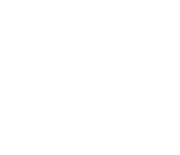 Company Logo - Footer