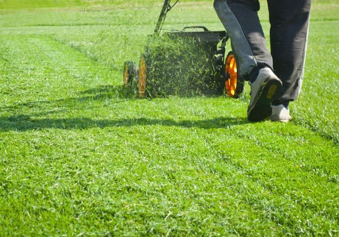 A person is mowing a lush green lawn with a lawn mower.
