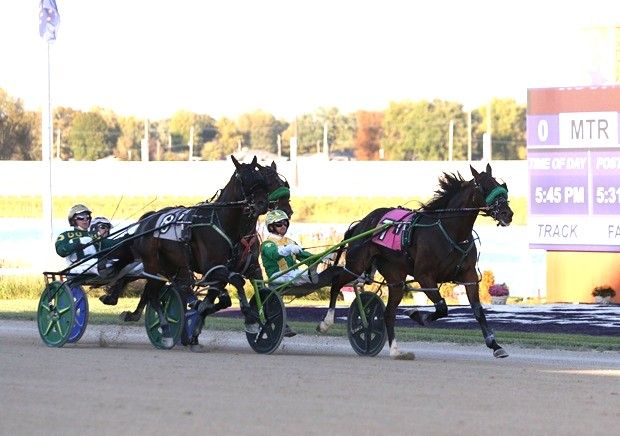 Great Pretender a great winner