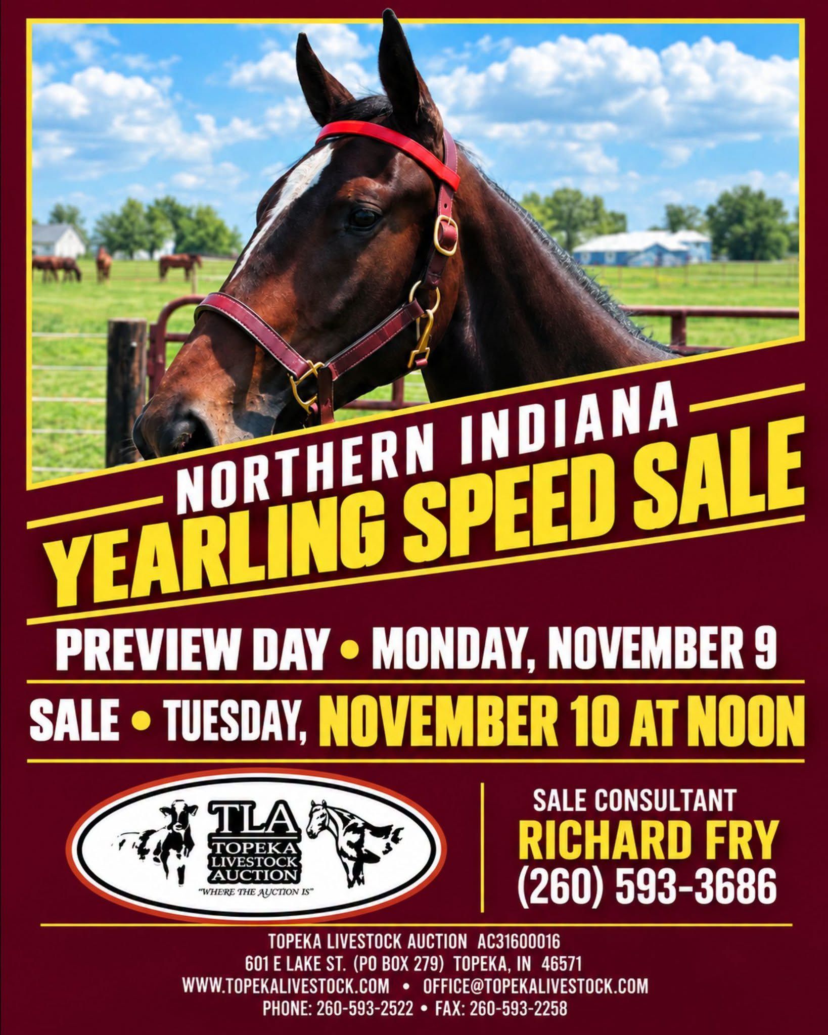 Northern Indiana Yearling Speed Sale November 9 and 10