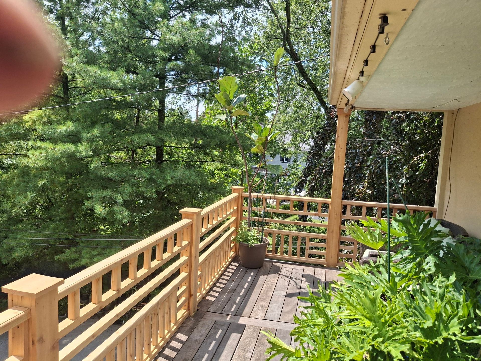 Wooden deck with railing, potted plant, and lush green trees in the background on a sunny day.