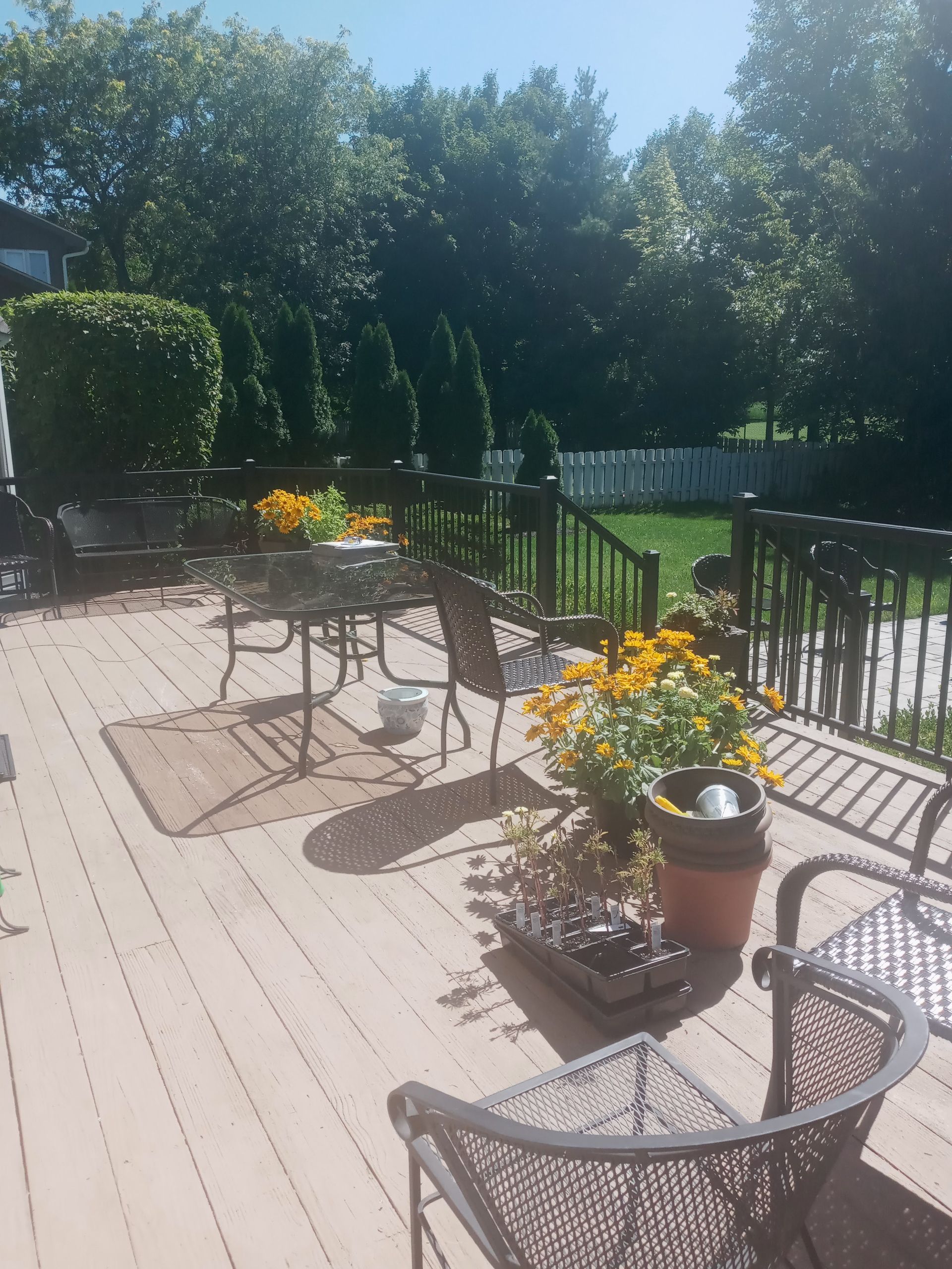 Wooden deck with patio furniture, flower pots, and a fenced yard with trees under a blue sky.