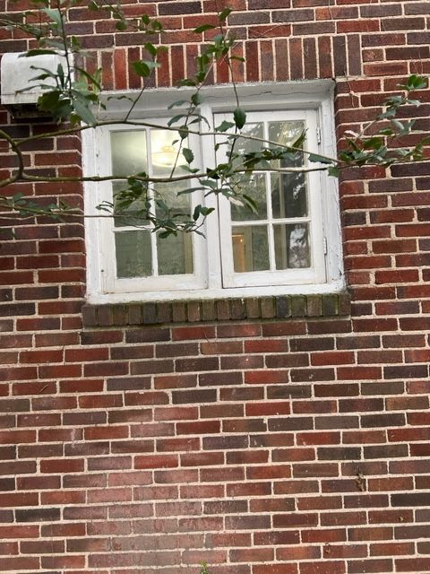 White-framed window with two panes, on a brick wall. Twigs and leaves partially obscure the view.