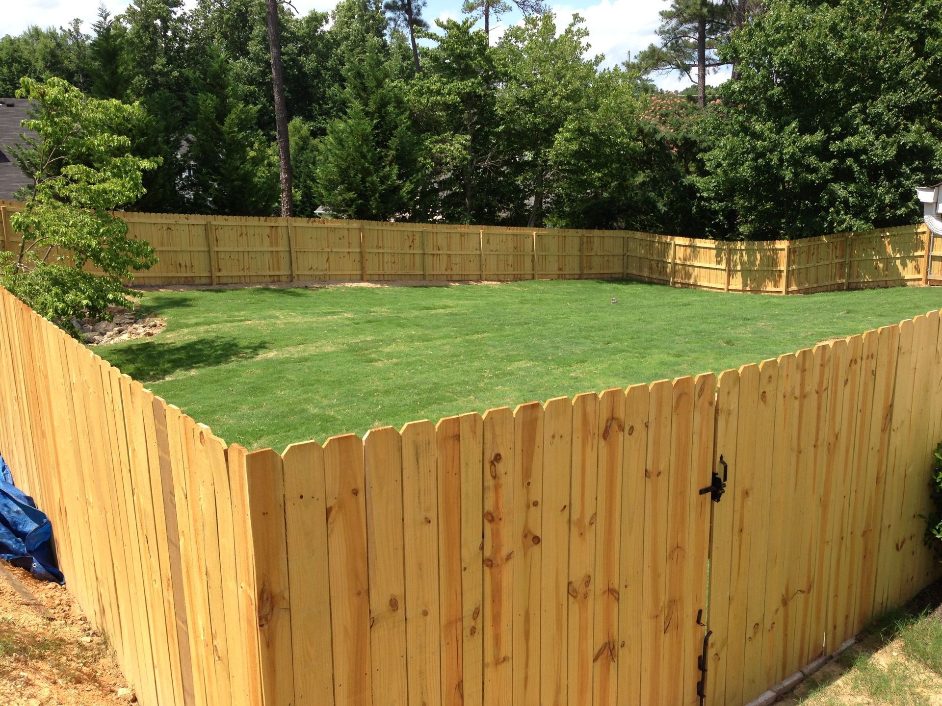 Yellow wooden fence surrounding a green grassy yard with a gate. Trees in the background.