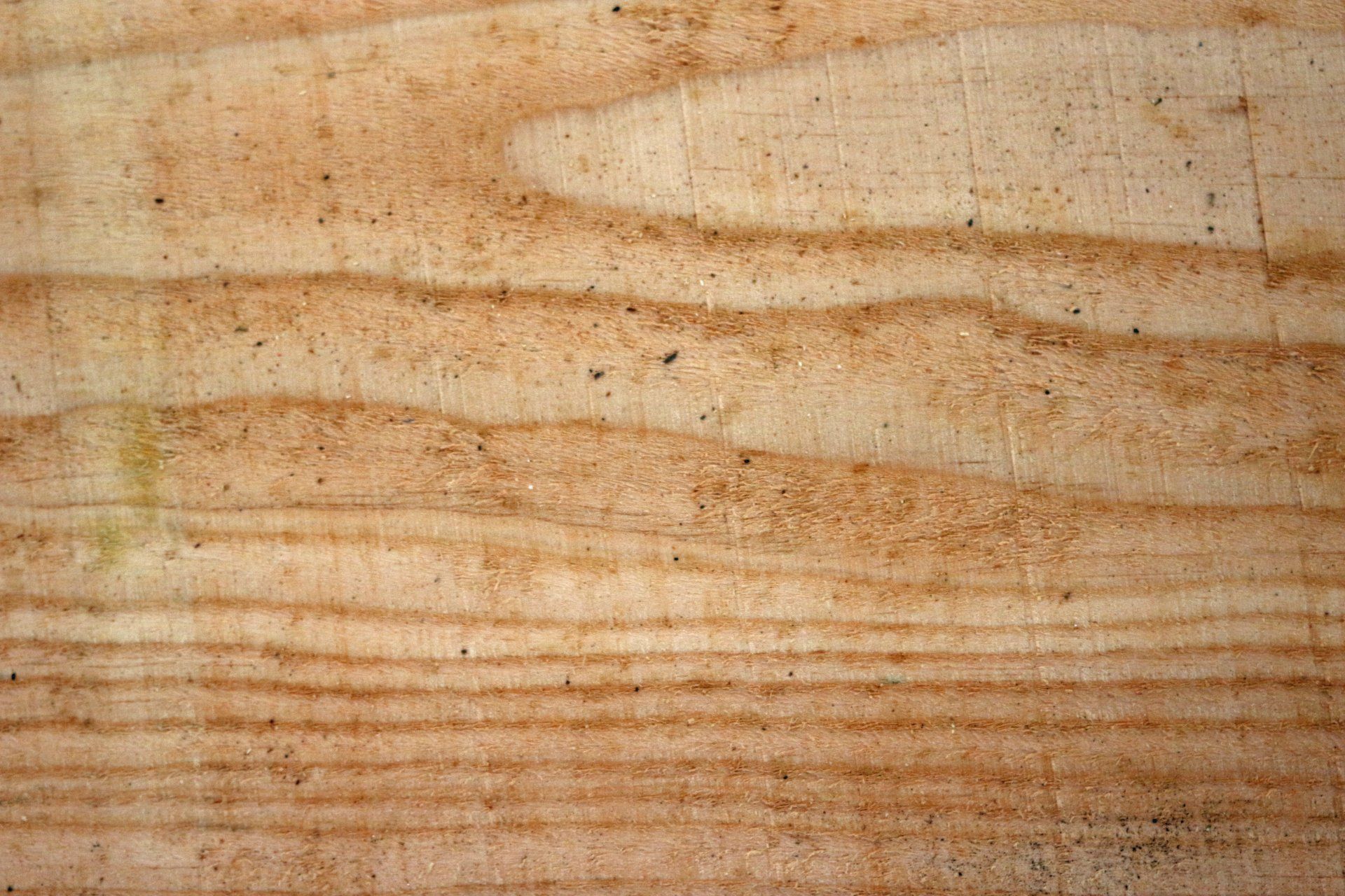 Close-up of light brown wood grain, showing horizontal lines and swirls.