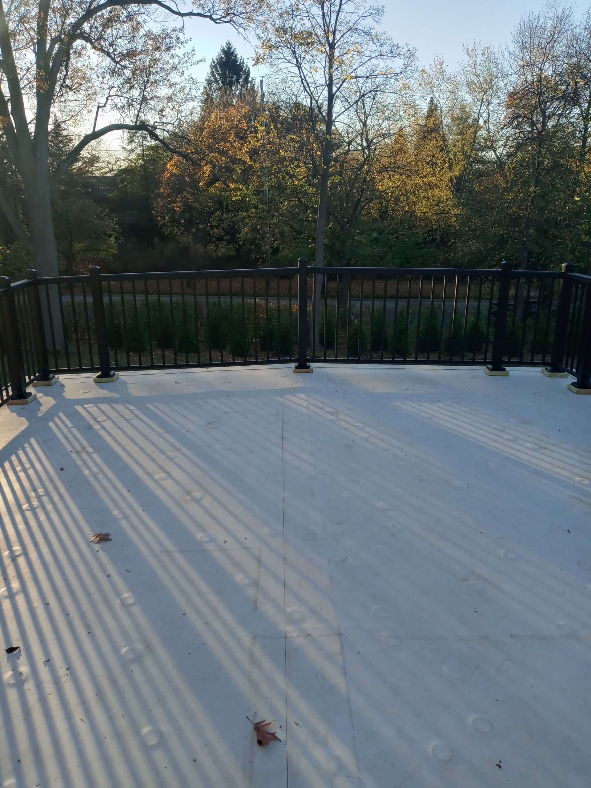 A light-colored deck with dark railings. Trees and foliage are in the background, with shadows cast across the deck.