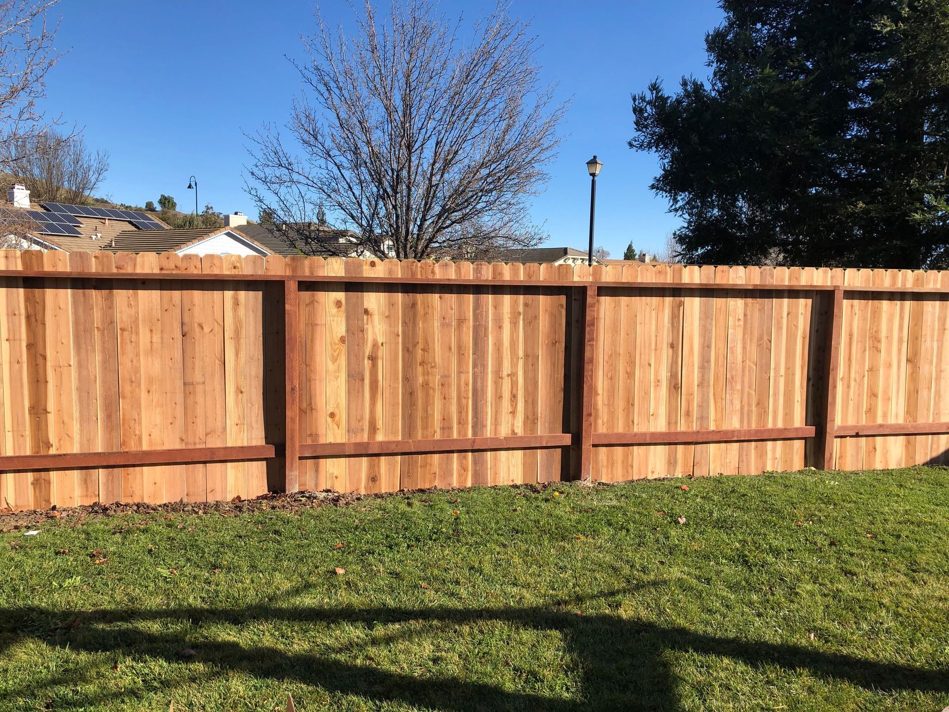 Wooden fence in a backyard with green grass and a clear blue sky.