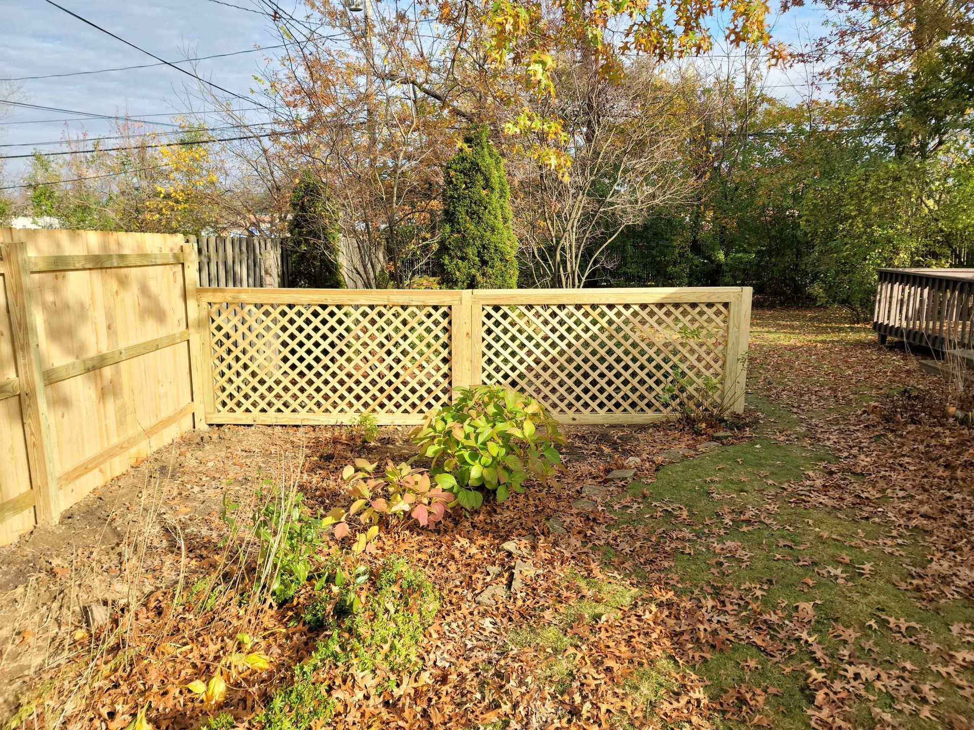 Wooden fence with lattice panels, surrounded by leaves and plants, in a backyard.