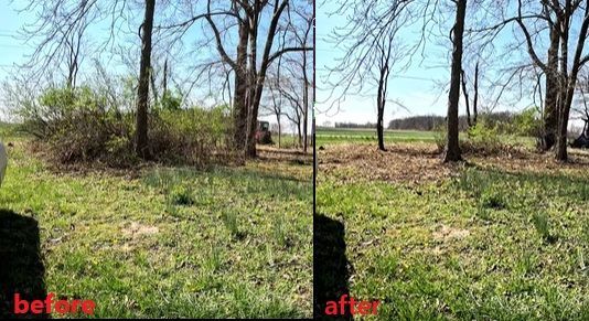 Before-and-after split view of a grassy field with trees and a cleared brush area under a blue sky.