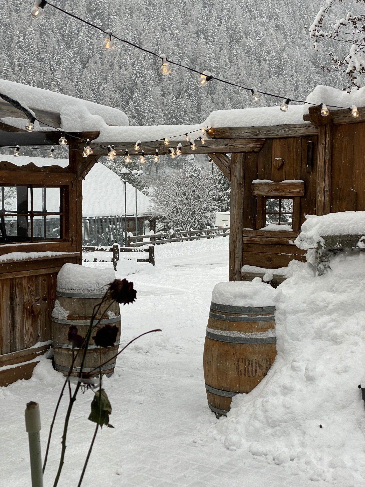 locale tra la neve