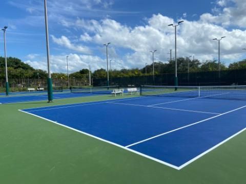 A tennis court with a blue court and a green court