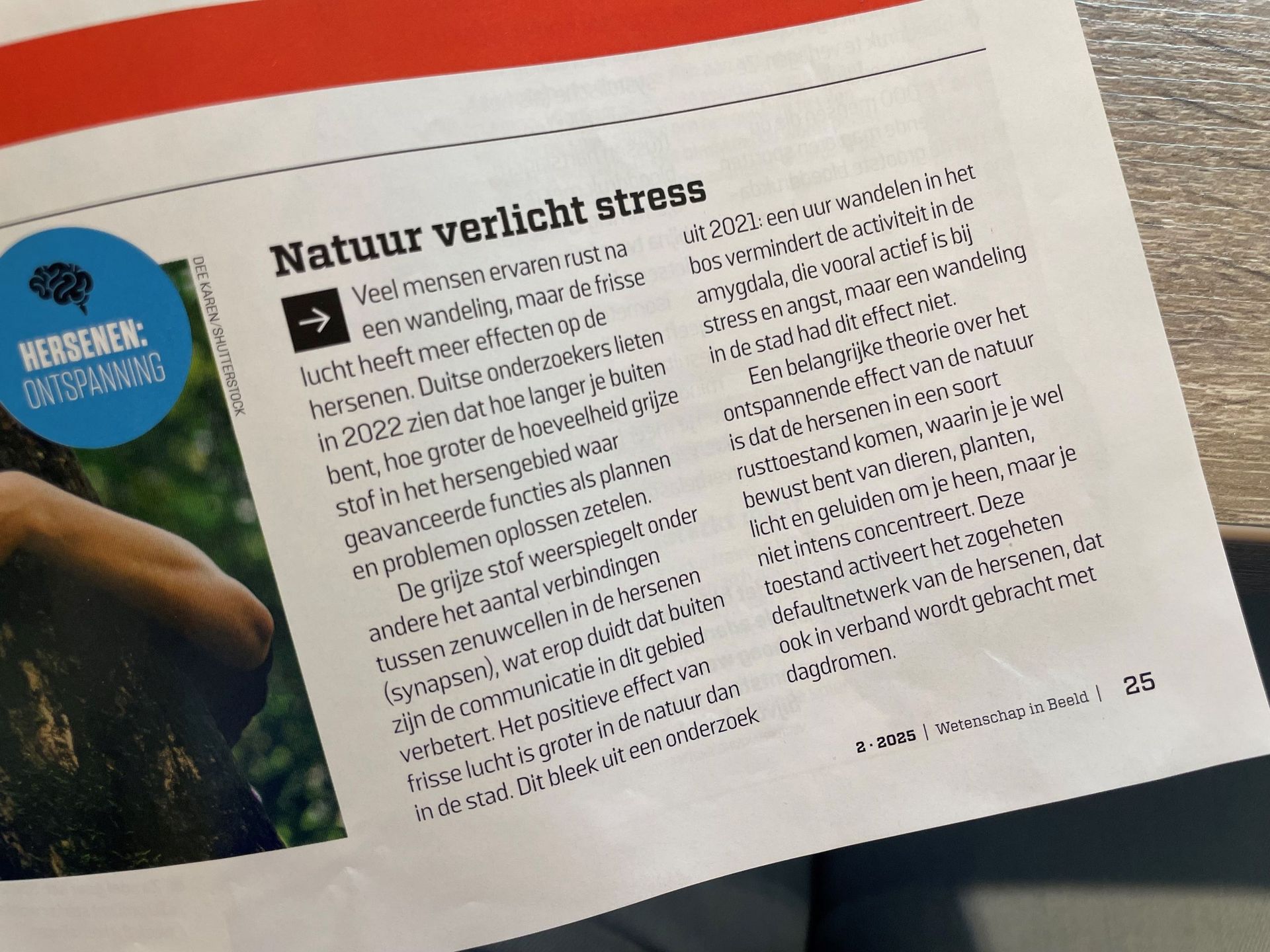 foto van een artikel uit een tijdschrift