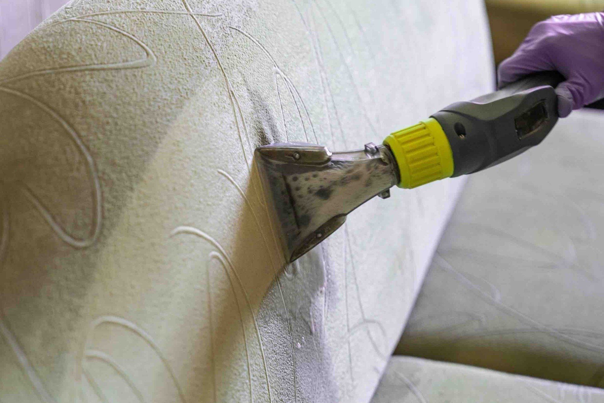 Carpet Cleaner Cleaning Couch