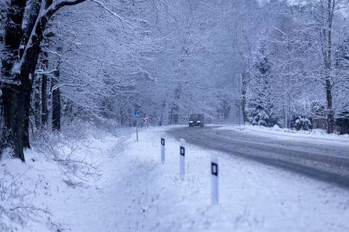 Snow-covered road lined with trees, a car driving in the distance on a wintry day.