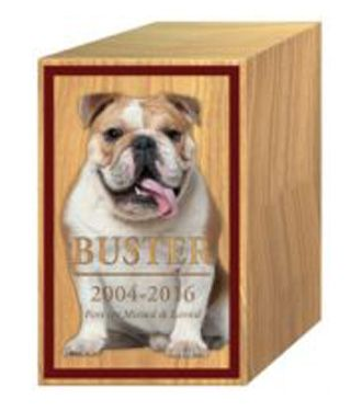 Wooden pet urn with bulldog portrait, personalized with 