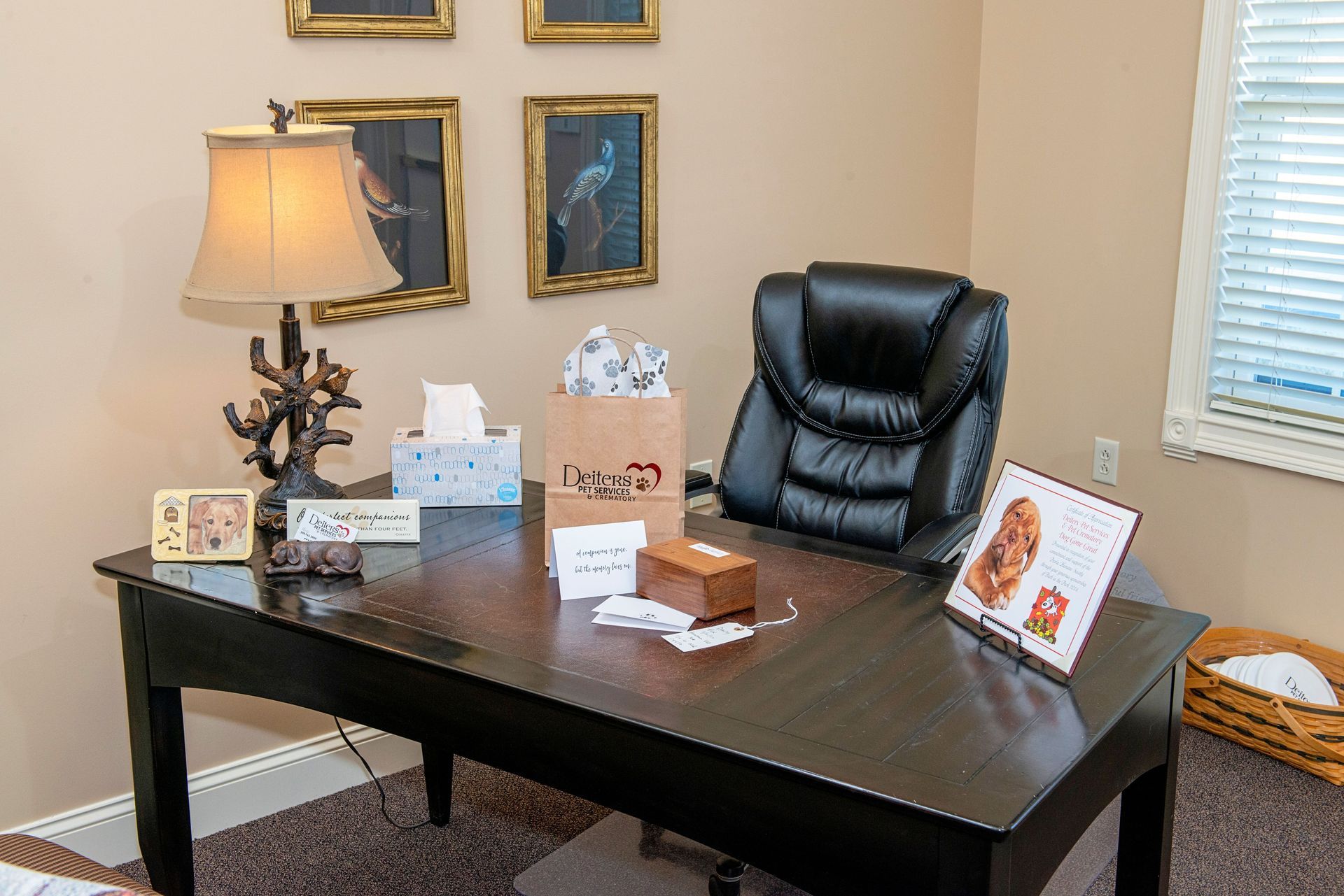 A black desk in an office setting with a lamp, chair, and tissue boxes.