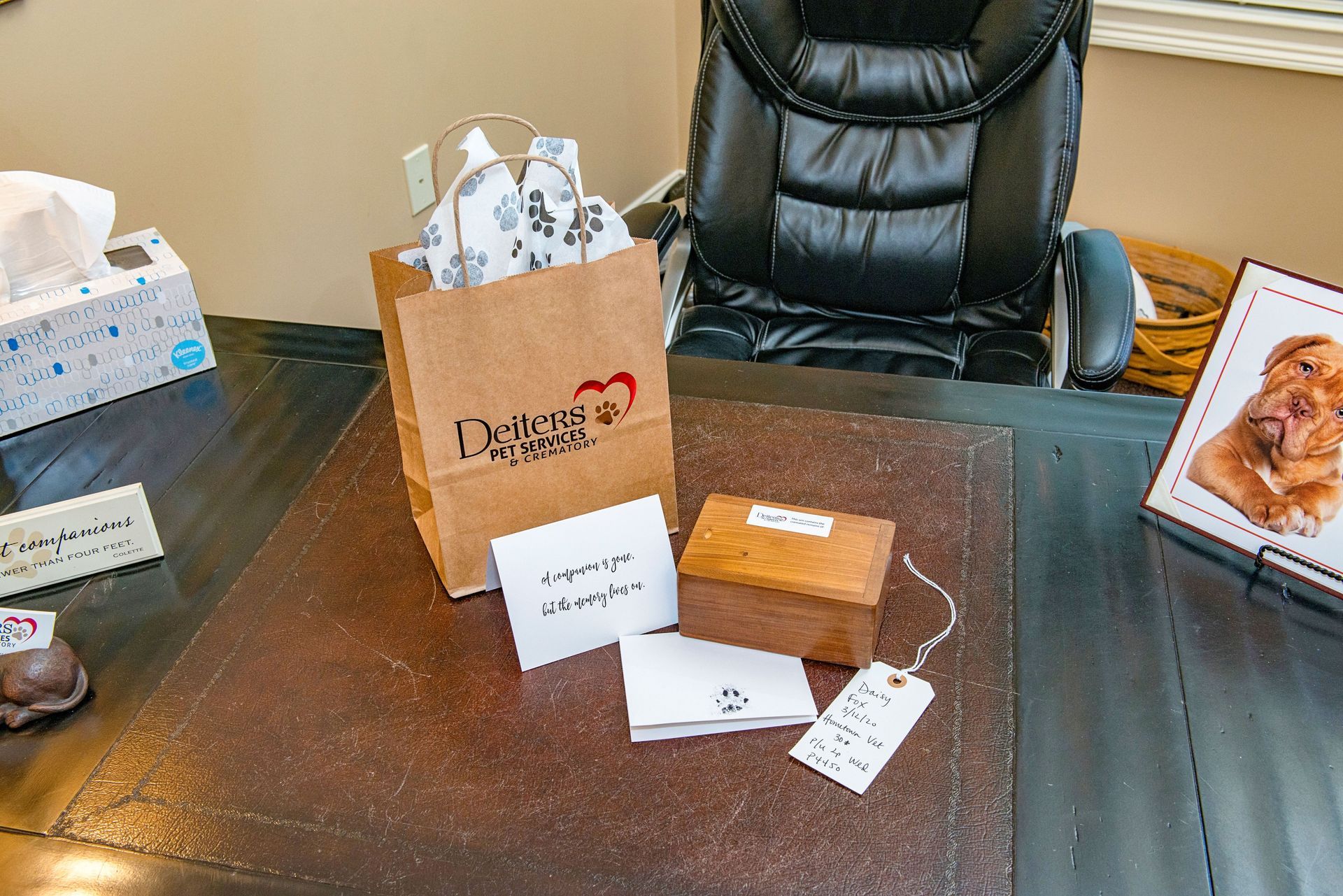 Brown paper bag and gift box with dog-themed items on a desk. Tissue box and framed dog portrait are also visible.