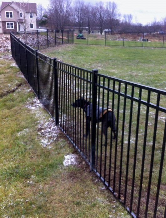 aluminum fence 3