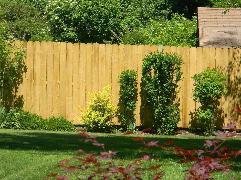wood fence 4