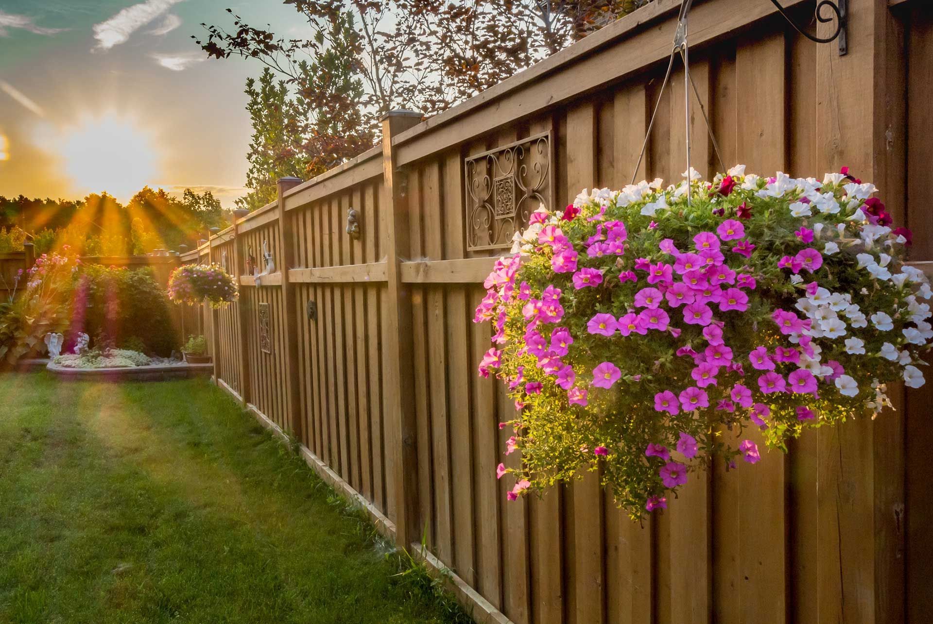 hanging basket of flowers along a wooden fence