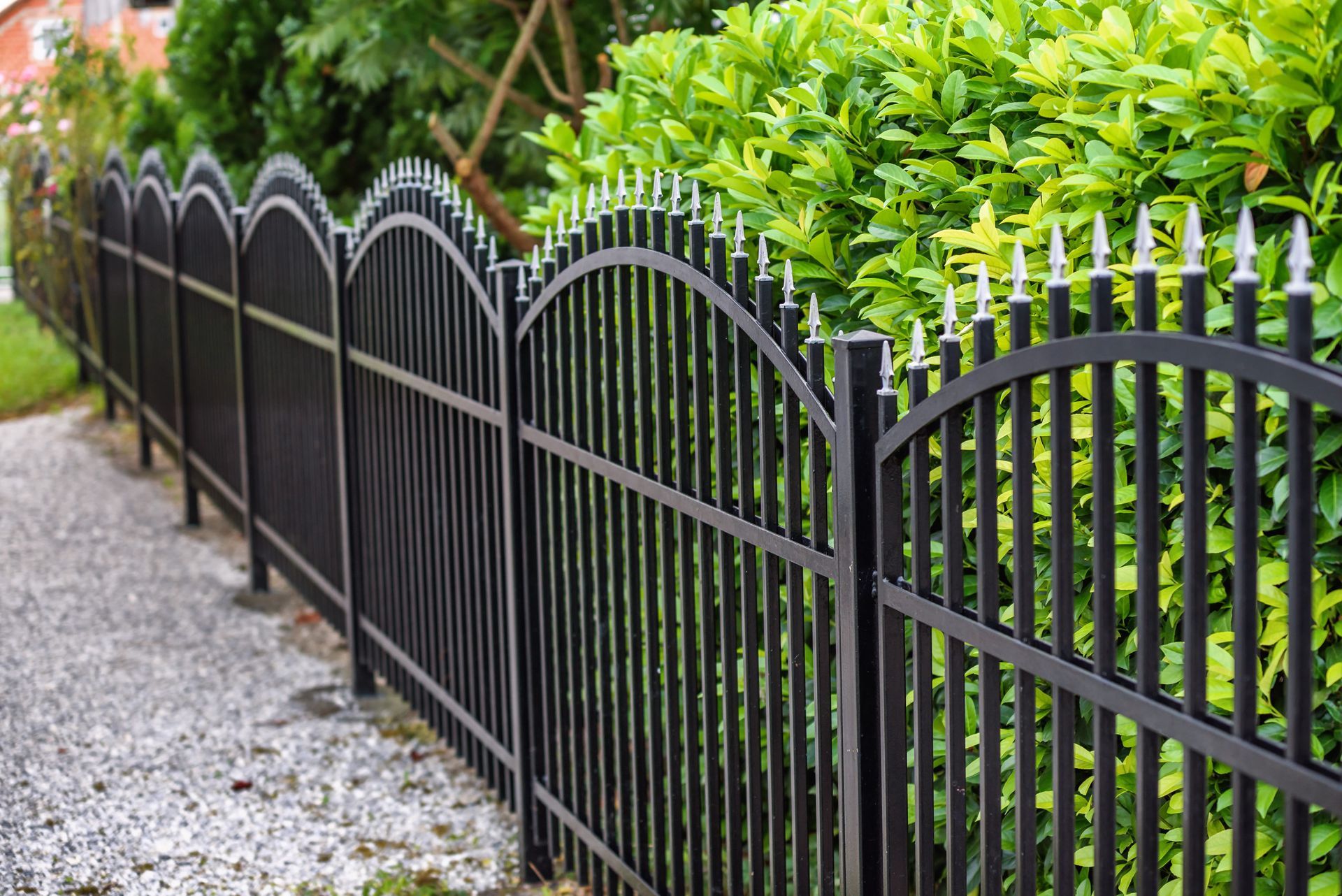 New Fence