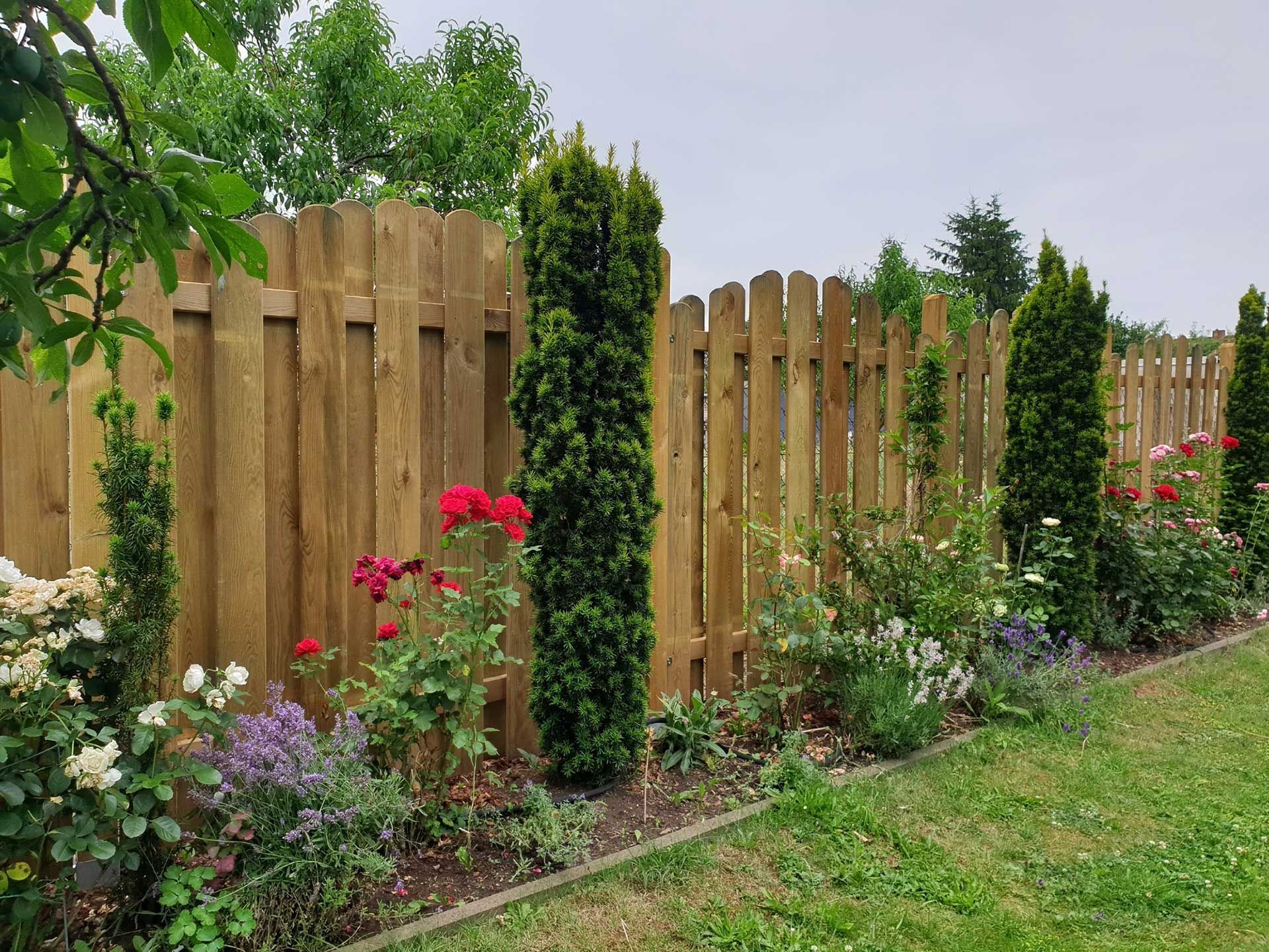 wood fence 2