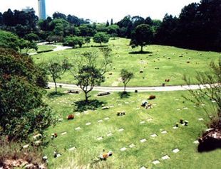 Orientações Parque Morumby Orientações Parque Morumby