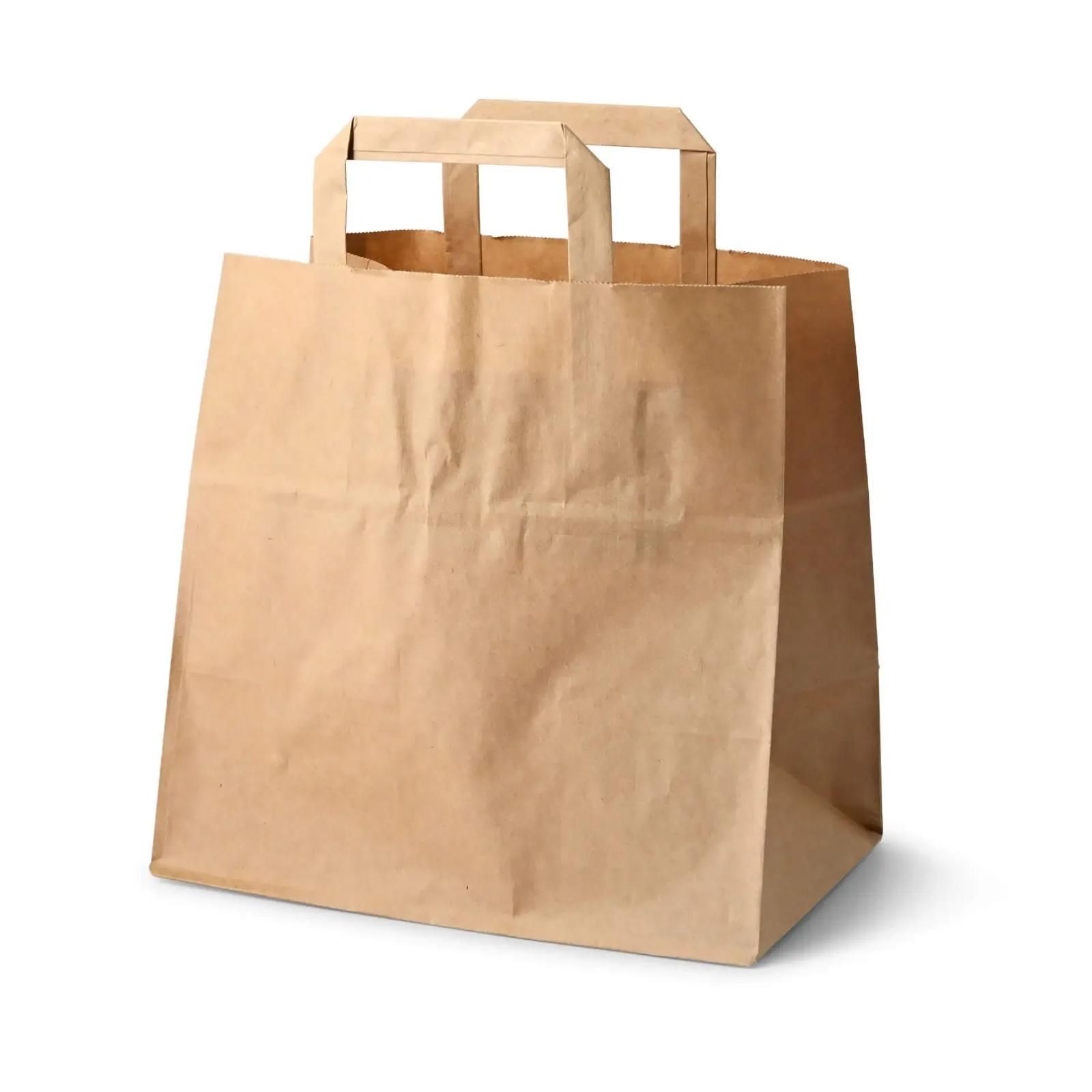 Borsa della spesa in carta marrone con manici su sfondo bianco.