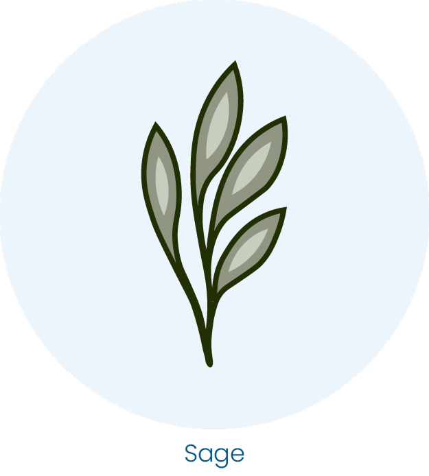 A drawing of a sage sprig with light green leaves inside a pale blue circle, with the word 