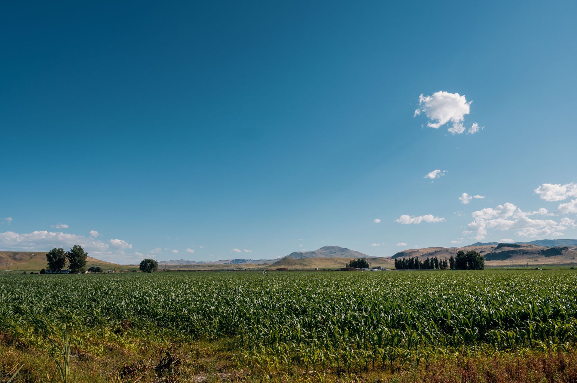 greenbeautifulidahofarmland