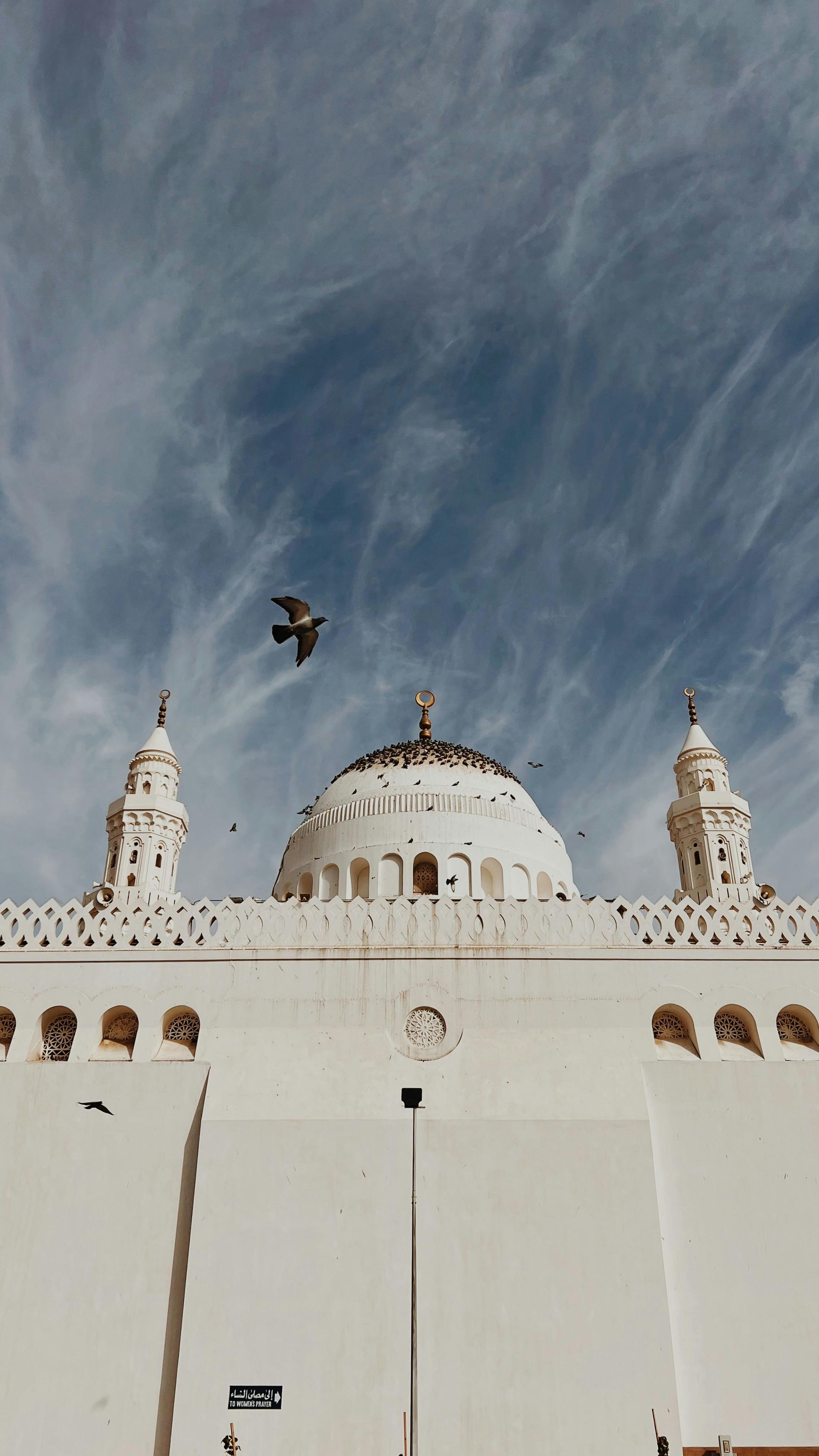 A white mosque with birds flying around it and a blue sky in the background.