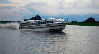 Transporte Golfinho,  transporte acuático